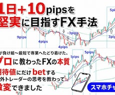 プロの堅実手法★1日+10pipsだけ目標にします 私が負け組～最短で専業へたどり着けた、FXの本質★スマホ解説
