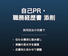 転職の自己PR・職務経歴書を添削します イメージ1