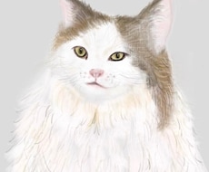 大切なネコちゃんのアートを水彩ペン使って描きます イメージ1