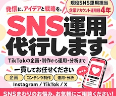 現役マーケターがSNS運用を代行・サポートします 小売企業でのマーケティングの実績をもとに運用・サポート