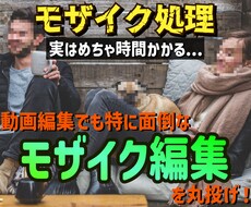 モザイク編集を承ります イメージ1