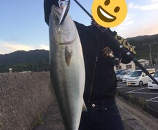 鹿児島県の釣り場を紹介(なんでも)します イメージ1