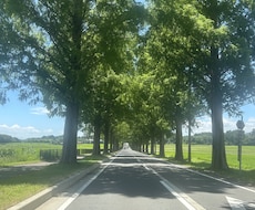 インナーチャイルドを癒やします 貴方の心の奥にあるトラウマを癒やします
