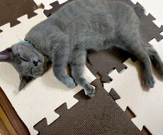 周囲に相談しにくい、お悩みや愚痴を聞きます イメージ1