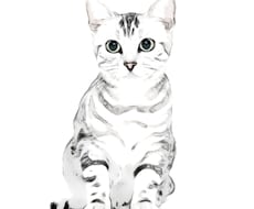 リアルなペットの似顔絵制作します イメージ1