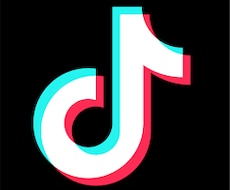 音楽動画を編集しTikTokへ投稿まで全て行います イメージ1