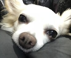 お話し相手、愚痴聞きひたすらやります イメージ1