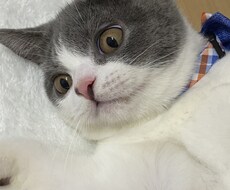 資格を持った精神科のプロが心の悩みをお聞きします イメージ1