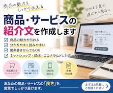商品やサービスの魅力が伝わる紹介文を作成します イメージ1