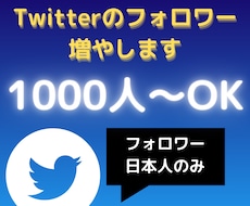 Twitterの日本人フォロワーを増やします
