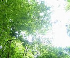 レイキヒーリング歴13年のマスターが送ります 高波動エネルギーでオーラやチャクラを浄化調整いたしませんか