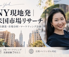 NY在住のPRのプロが海外市場をリサーチします 米国市場・競合調査から戦略立案まで支援