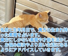 名前と生年月日を使って占います イメージ1