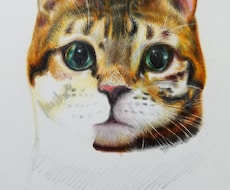 あなたの好きな〇〇描きます イメージ1