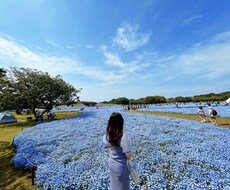 ファッションコーディネートのご相談に乗ります イメージ1