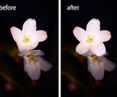 photoshop使い方、わからないこと教えます 期間限定で実際に作業している録画動画を見せます！