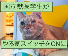 中学生・高校生のやる気スイッチをオンにします イメージ1