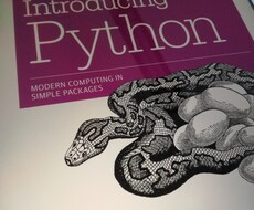 Python始めたい方相談乗ります プログラミングが初めての方に丁寧に教えます！初心者向け！