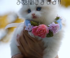 色んな人生経験をしてきましたので貴方の役に立ちます イメージ1