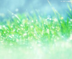 話し相手になります イメージ1