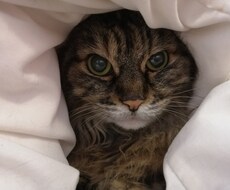 お話伺います イメージ1