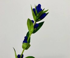心が辛い皆様をサポートします イメージ1
