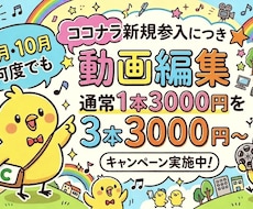 お試し価格！ショート動画3本3000円で作ります イメージ1