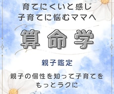 親子の相性と子どもの個性を読み解きます イメージ1