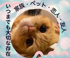 大切な家族ペット、恋人、友人の悩みを優しく聴きます 癒しの空間　ペットのお話　温かくお守り致します。