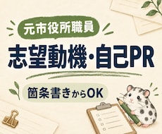 元市役所職員が志望動機・自己PRを整えます イメージ1