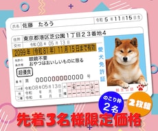本物そっくり！ペットのオリジナル免許証を作ります イメージ1