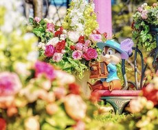 職場でのお悩み・愚痴聞きます イメージ1
