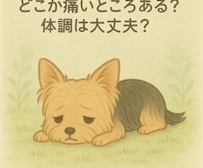 アニマルコミュニケーションします イメージ1