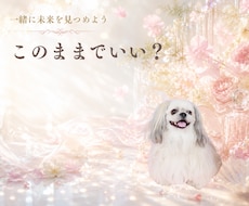 二人の未来︎︎やご縁│霊感恋愛タロットで占います この次進展する理由や未来｜彼の気持ちや本心を素早く伝えます
