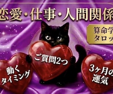 恋愛＆仕事♥️質問２つ タロット×算命学で占います 24h内✳10月2500→500円✳2500字｜片思い 転職