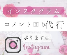 インスタグラムのコメント代行いたします イメージ1