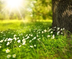 本来のあなた自身と進むべき道を鑑定します 自分らしく生きていけるきっかけをいっしょに見つけましょう