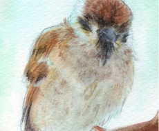 小動物のイラスト描き〼 イメージ1
