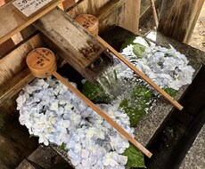 悩み事1つ。カードからのメッセージをお伝えします イメージ1
