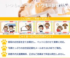 個人事業・中小企業のチラシを作成します イメージ1
