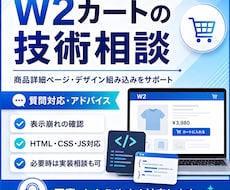 W2カートの技術相談に対応します 商品詳細ページやデザイン組み込みのお悩みを技術的に解決します