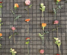 女優が2日間友達感覚でメッセージやりとりします 女優志望が2日間友達感覚でお話聞きます