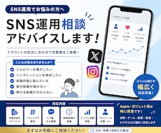 SNS運用相談・アドバイスします インプレ改善や運用相談対応します！