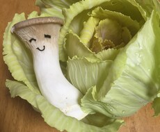 気楽に、おしゃべりしてみませんか？
