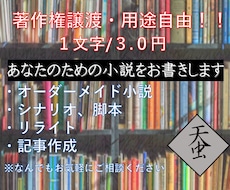 著作権譲渡・商用利用可!オーダーメイド小説書きます 小説、シナリオ、リライト、記事作成。純文学からラノベまで!