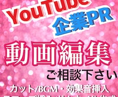 YouTube向け動画・企業PR動画の編集承ります イメージ1