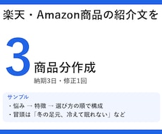 楽天・Amazon商品の紹介文を3商品分作成します イメージ1
