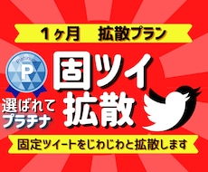 １ヶ月プラン、毎日固定ツイを拡散します 総フォロワー17000。毎日あなたの固ツイを拡散します！