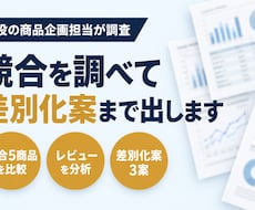 現役の商品企画担当が競合を調べ差別化案まで出します イメージ1