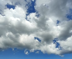 あなたの背中をそっと押します 今日から一歩踏み出すための前向きなメッセージをお届けします♪